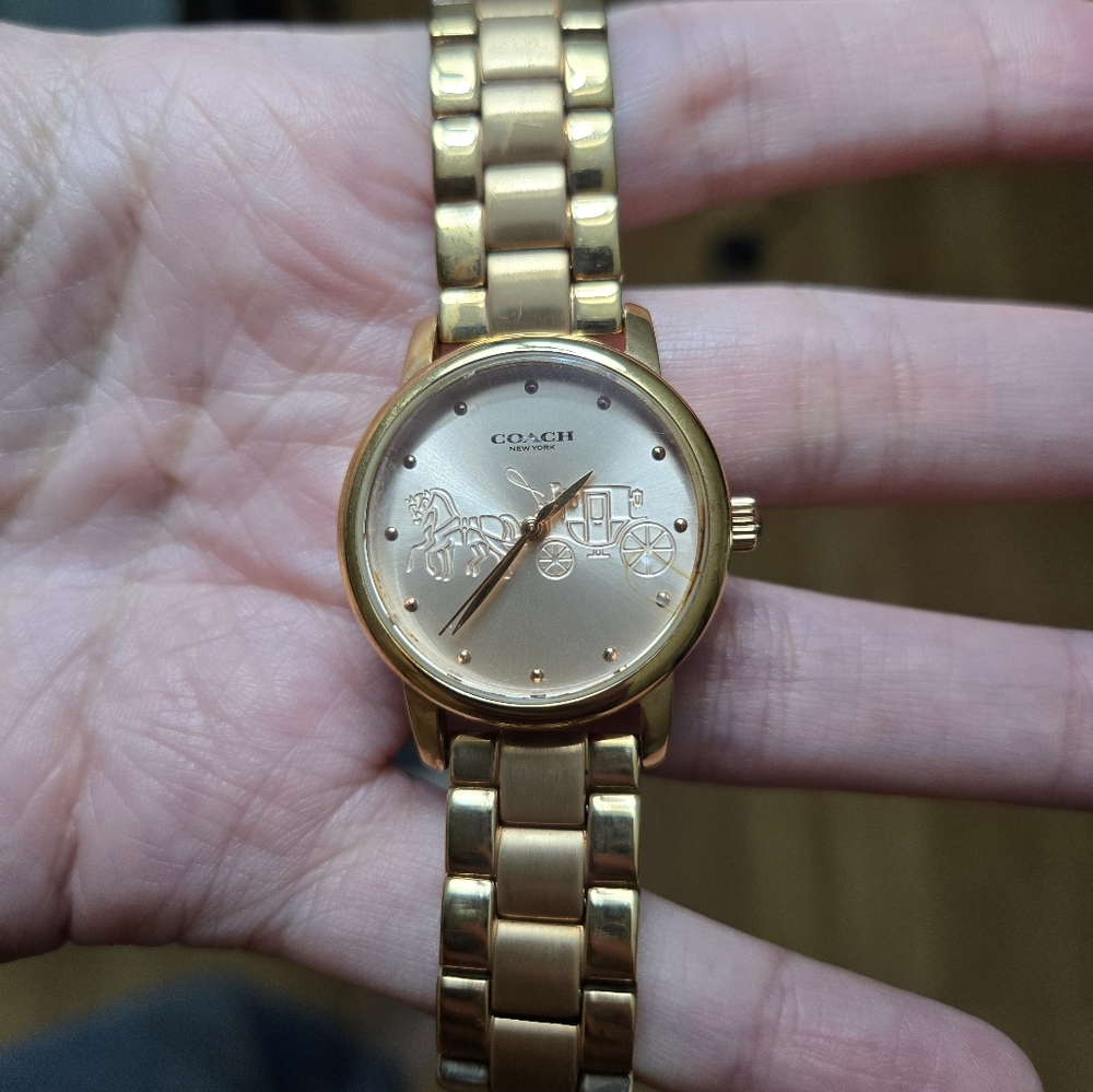 Coach Perry Watch - Picture 6 of 7